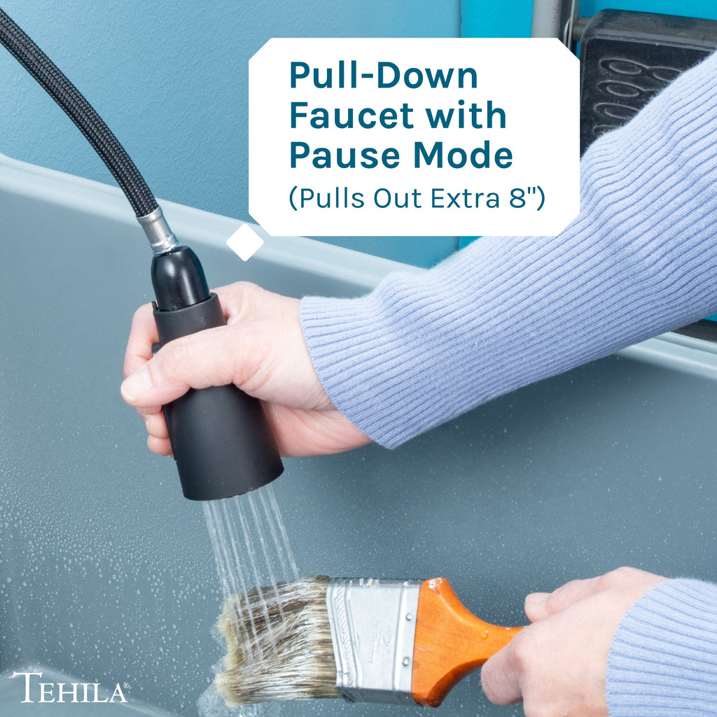 Tehila Black Finish Low Profile Pull-Down Faucet