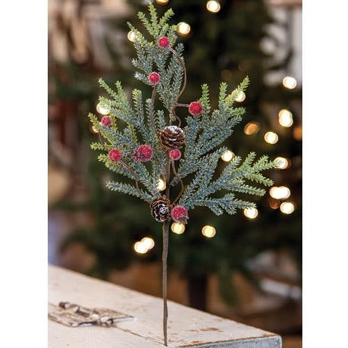 Mountain Pine with Berries Pick 14" (Pack of 4)