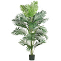 7' Paradise Palm