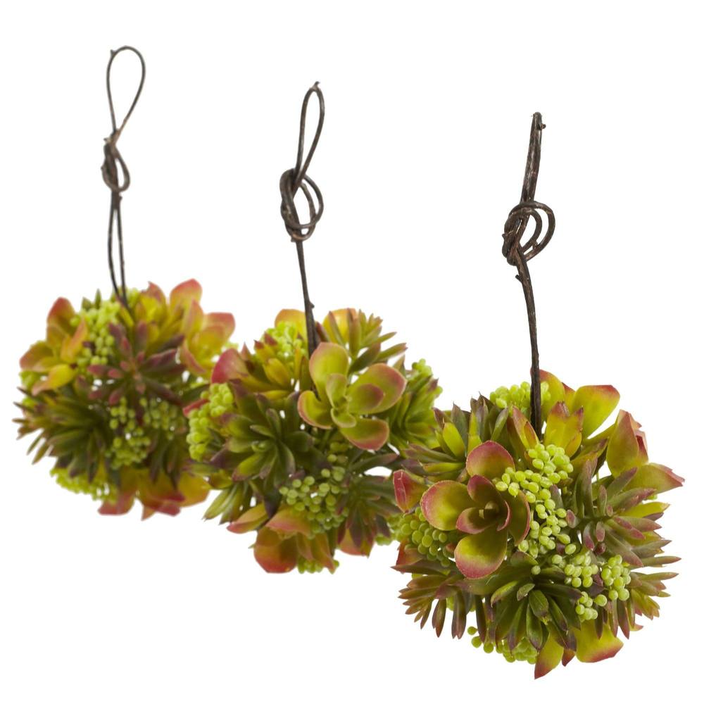 5" Mixed Succulent Hanging Ball (Set of 3)