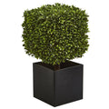 27" Boxwood Artificial Plant in Black Planter 
(indoor/Outdoor)