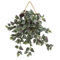 20" Wandering Jew Artificial Plant in Decorative Hanging Frame