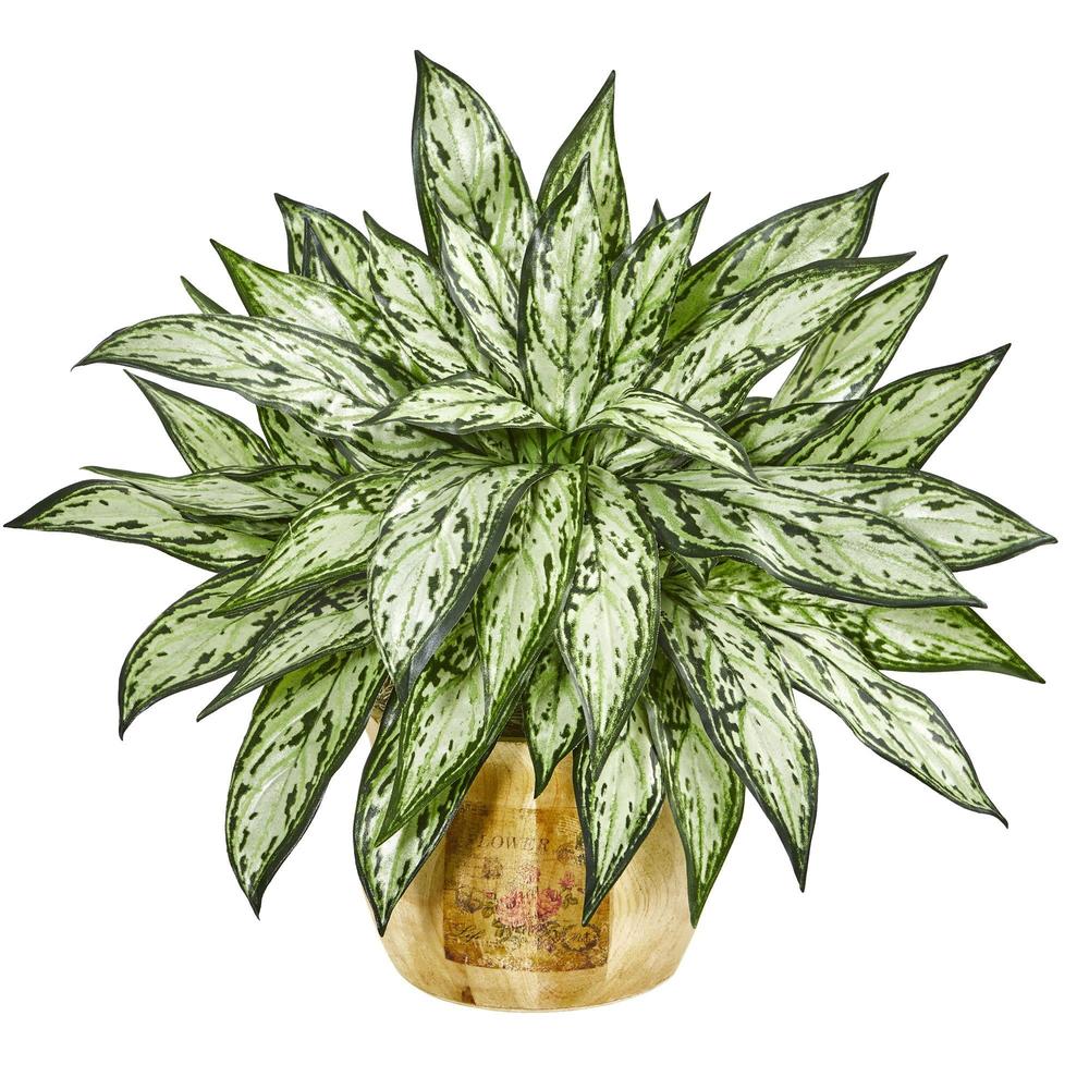 17" Silver Queen Artificial Plant in Decorative Planter (Set of 2)
