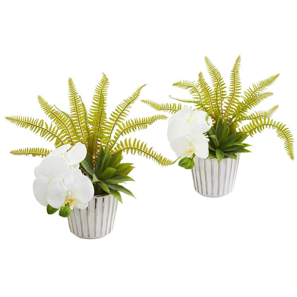 13" Phalaenopsis Orchid, Agave and Fern Artificial Arrangement (Set of 2)