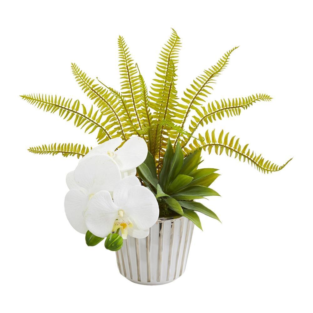 13" Phalaenopsis Orchid, Agave and Fern Artificial Arrangement (Set of 2)