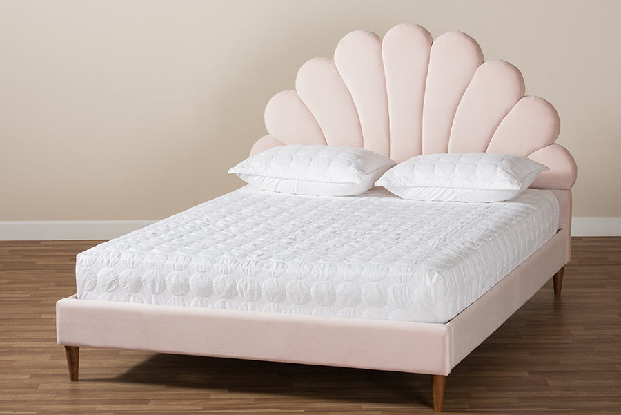 Baxton Studio Odille Modern Glam Light Pink Velvet Upholstered Walnut Brown Finished Wood Queen Size Seashell Shaped Platform Bed