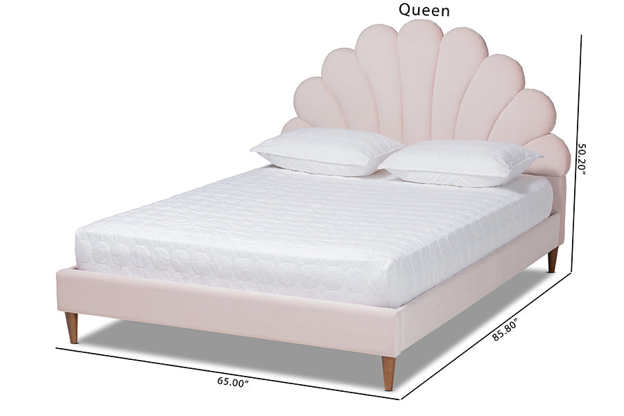 Baxton Studio Odille Modern Glam Light Pink Velvet Upholstered Walnut Brown Finished Wood Queen Size Seashell Shaped Platform Bed