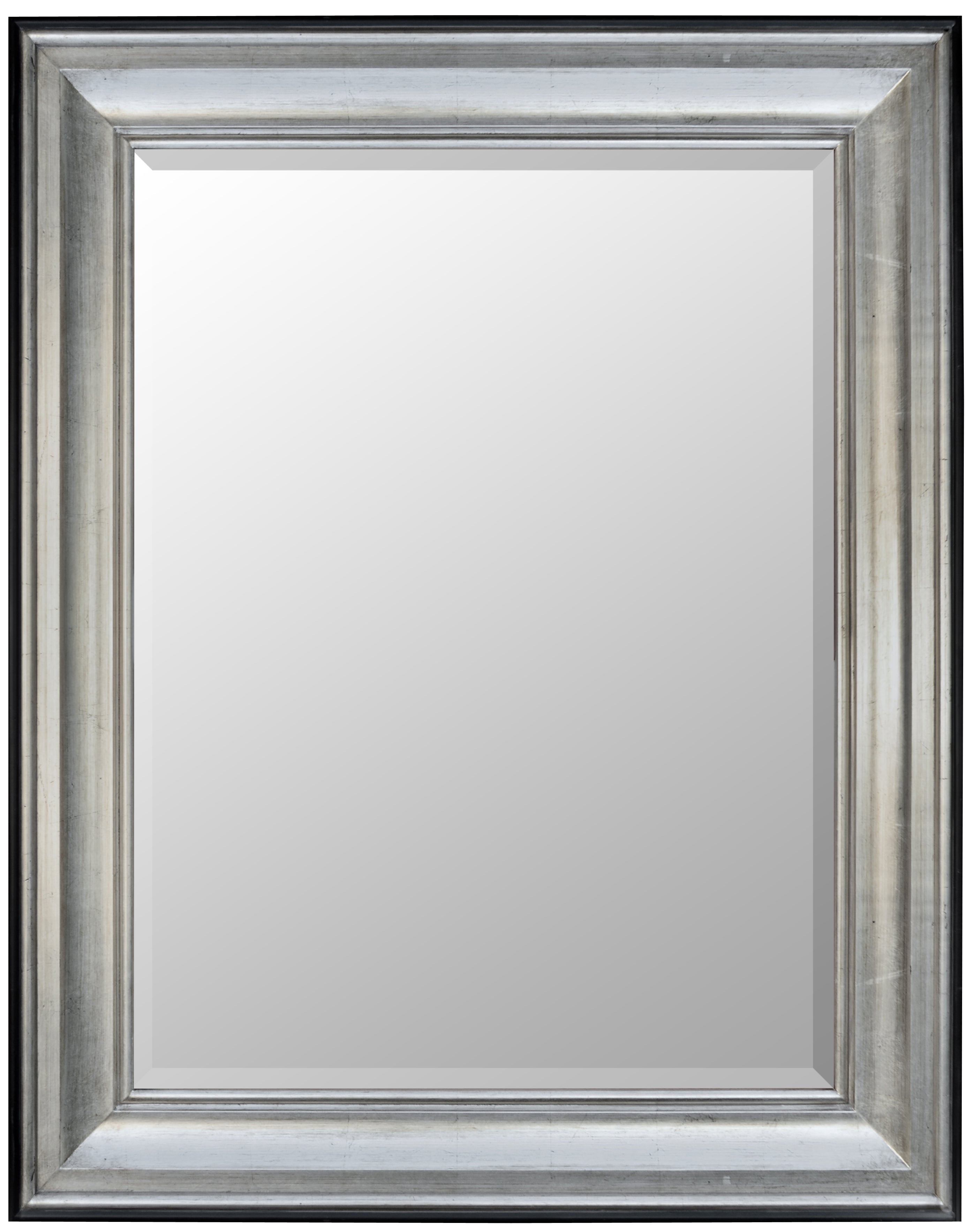 Silver Raven Mirror 36X48 Tarnished Silver Black