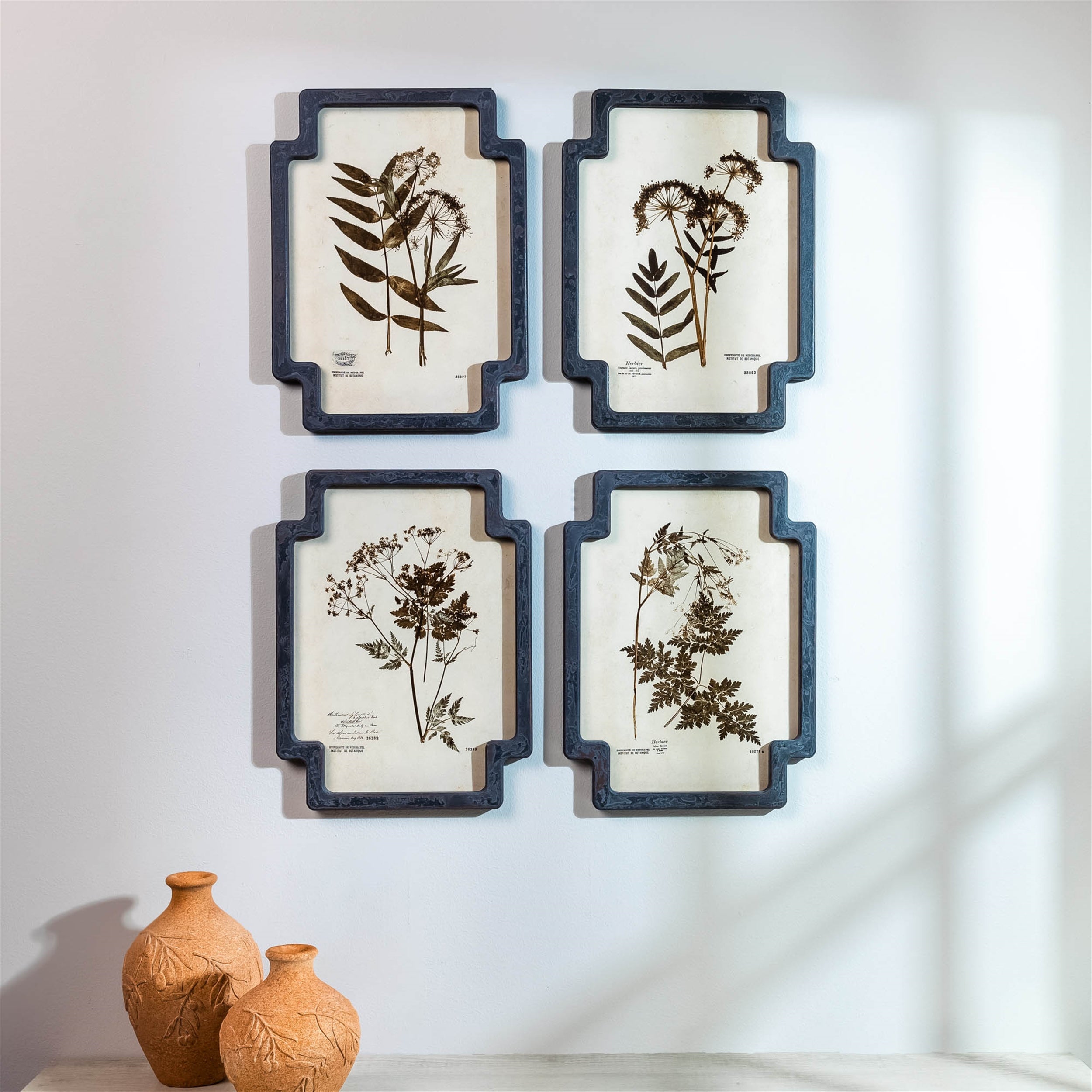 Framed Pressed Floral and Foliate Print (Set of 4)