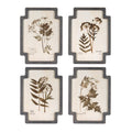 Framed Pressed Floral and Foliate Print (Set of 4)