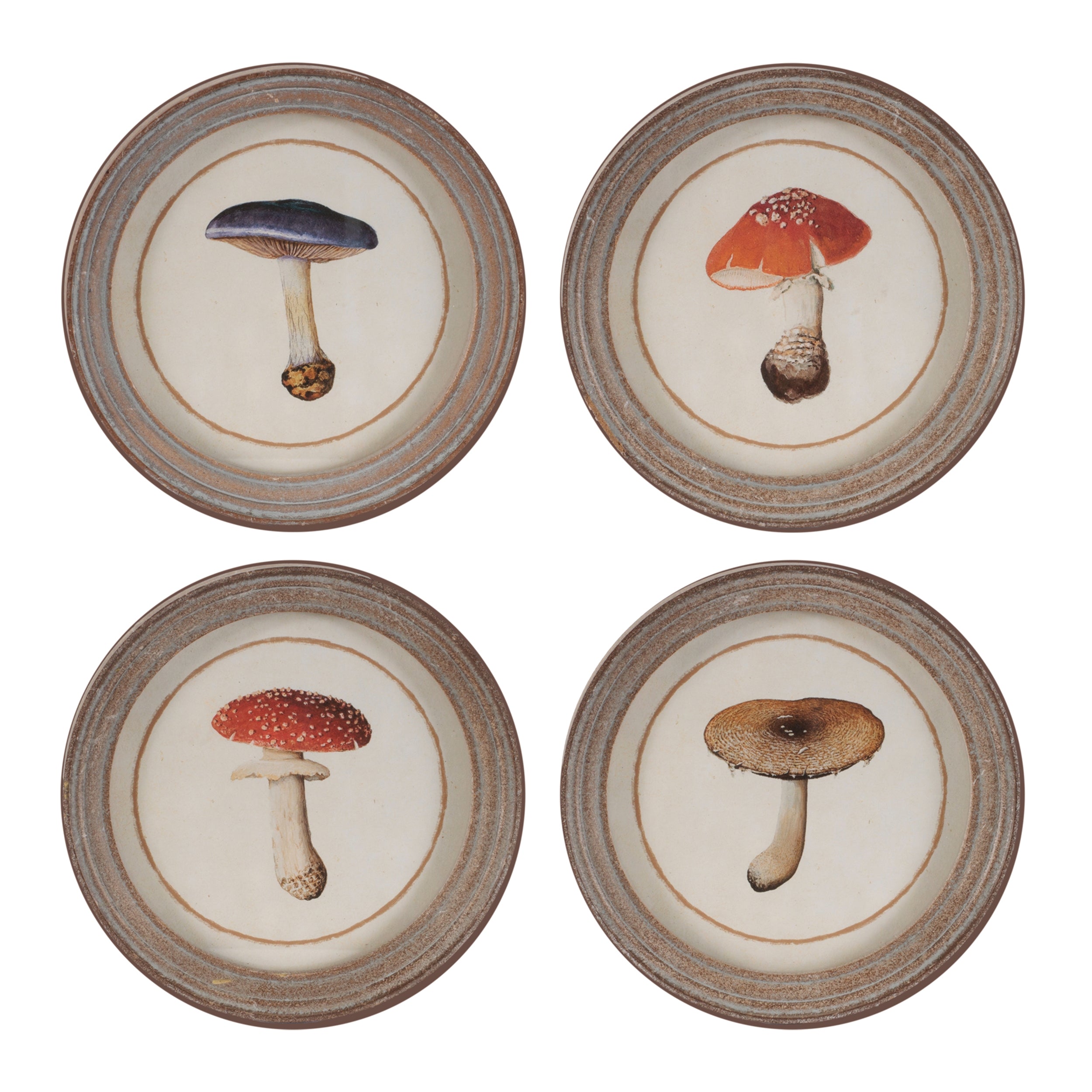 Framed Mushroom Print (Set of 4)