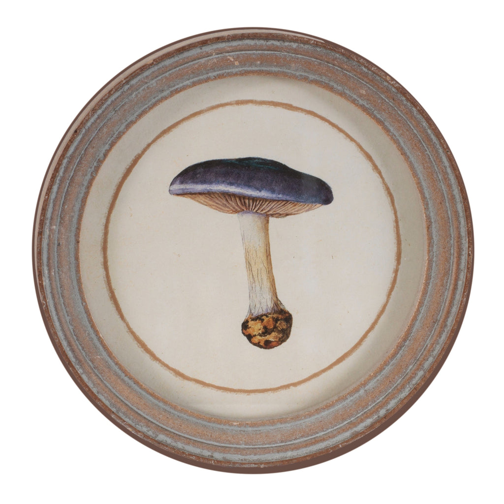 Framed Mushroom Print (Set of 4)
