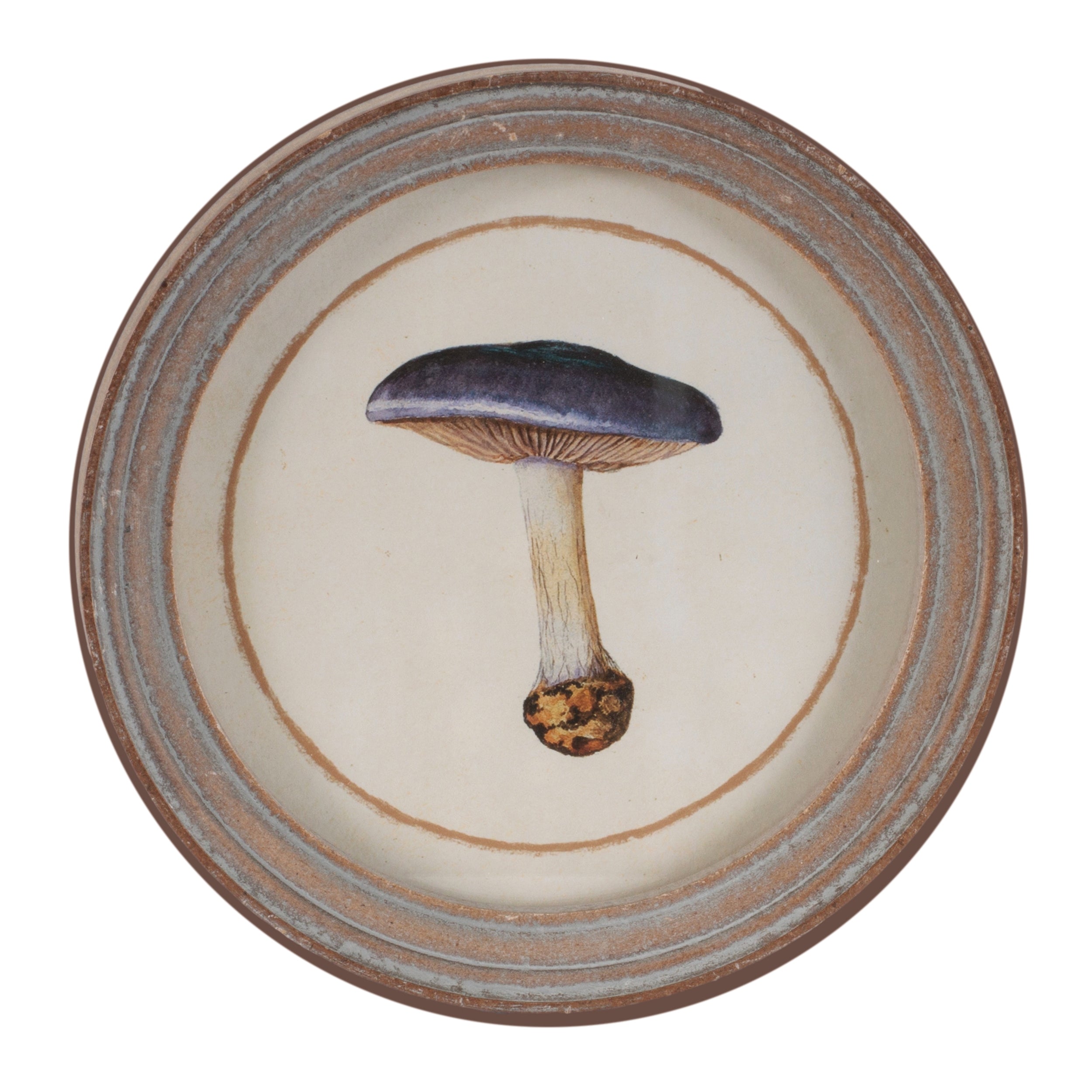 Framed Mushroom Print (Set of 4)