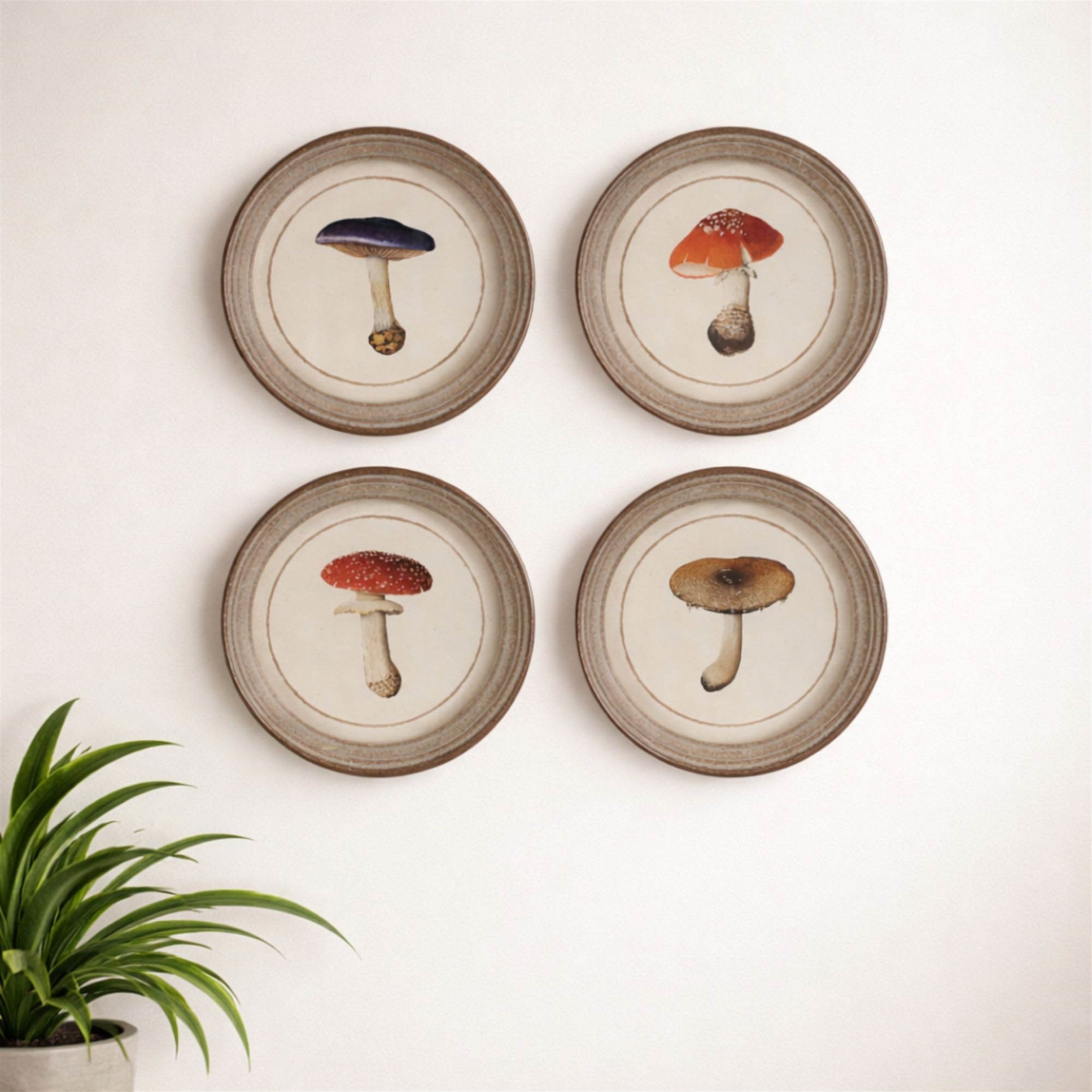 Framed Mushroom Print (Set of 4)