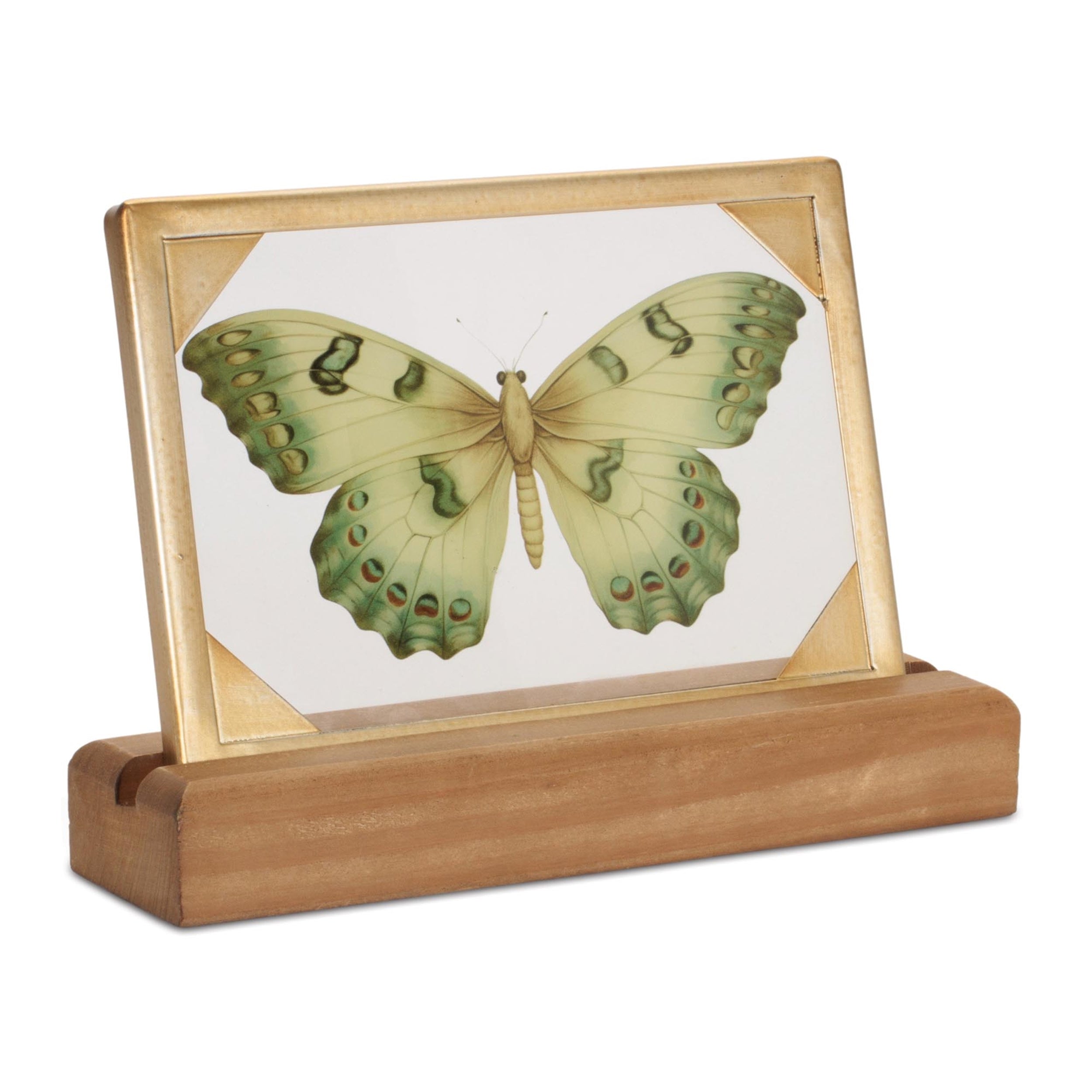 Framed Butterfly Tabletop Decor 9"L