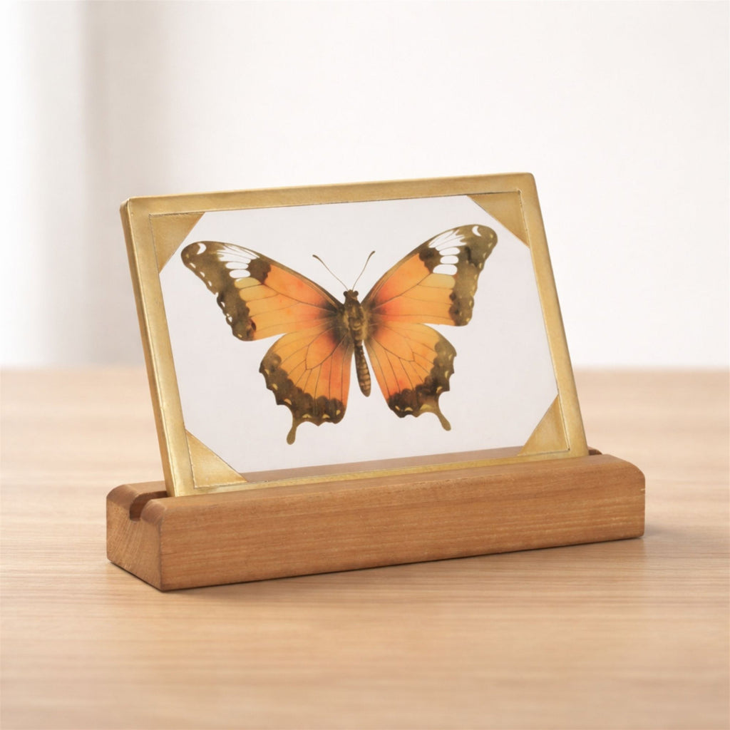Framed Butterfly Tabletop DŽcor 9"L