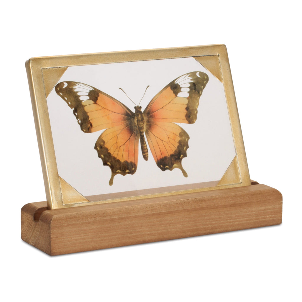 Framed Butterfly Tabletop DŽcor 9"L