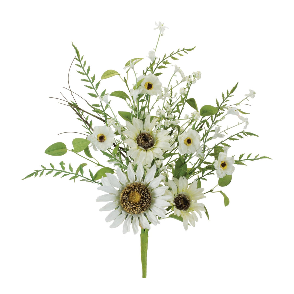 Mixed White Sunflower Bush (Set of 2)