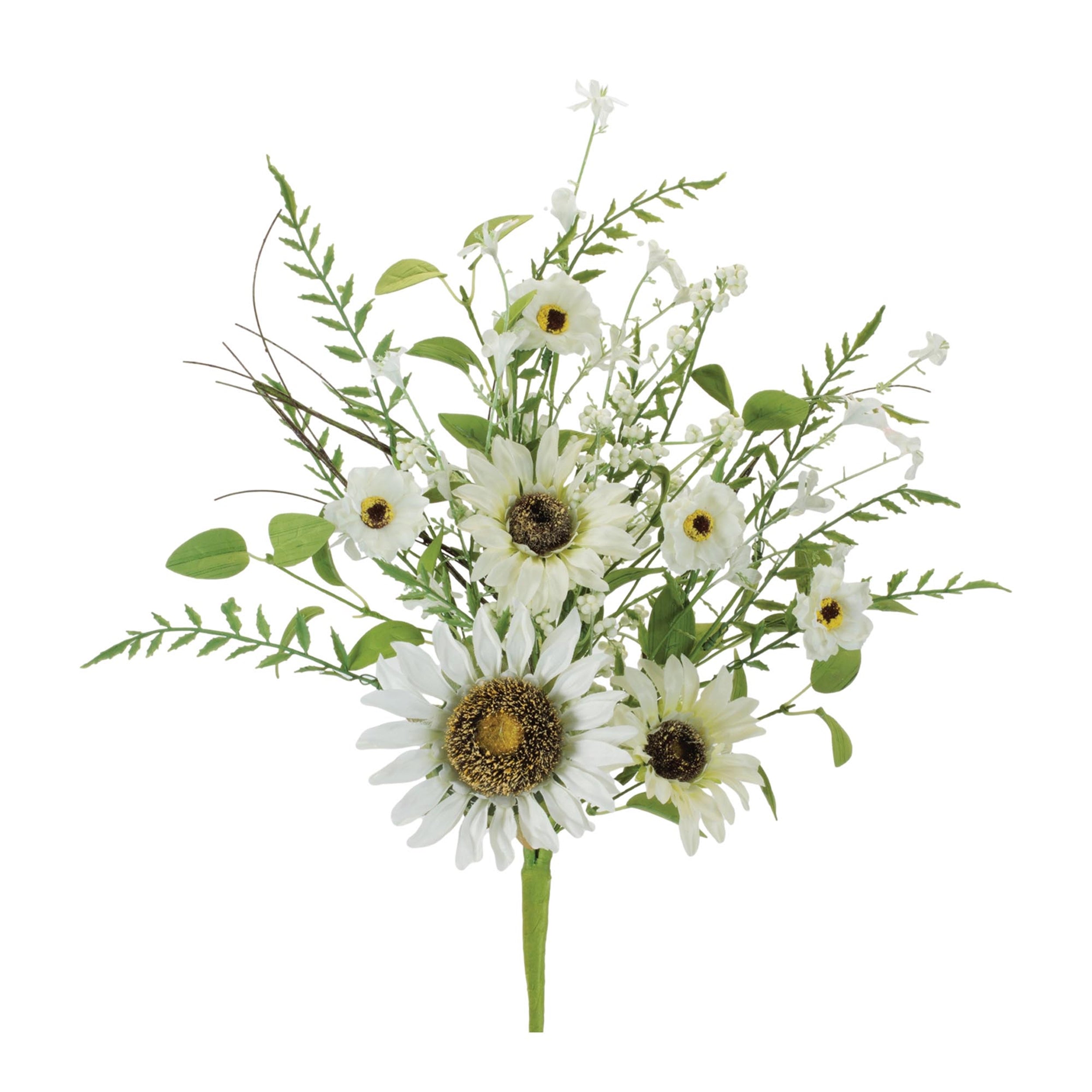 Mixed White Sunflower Bush (Set of 2)