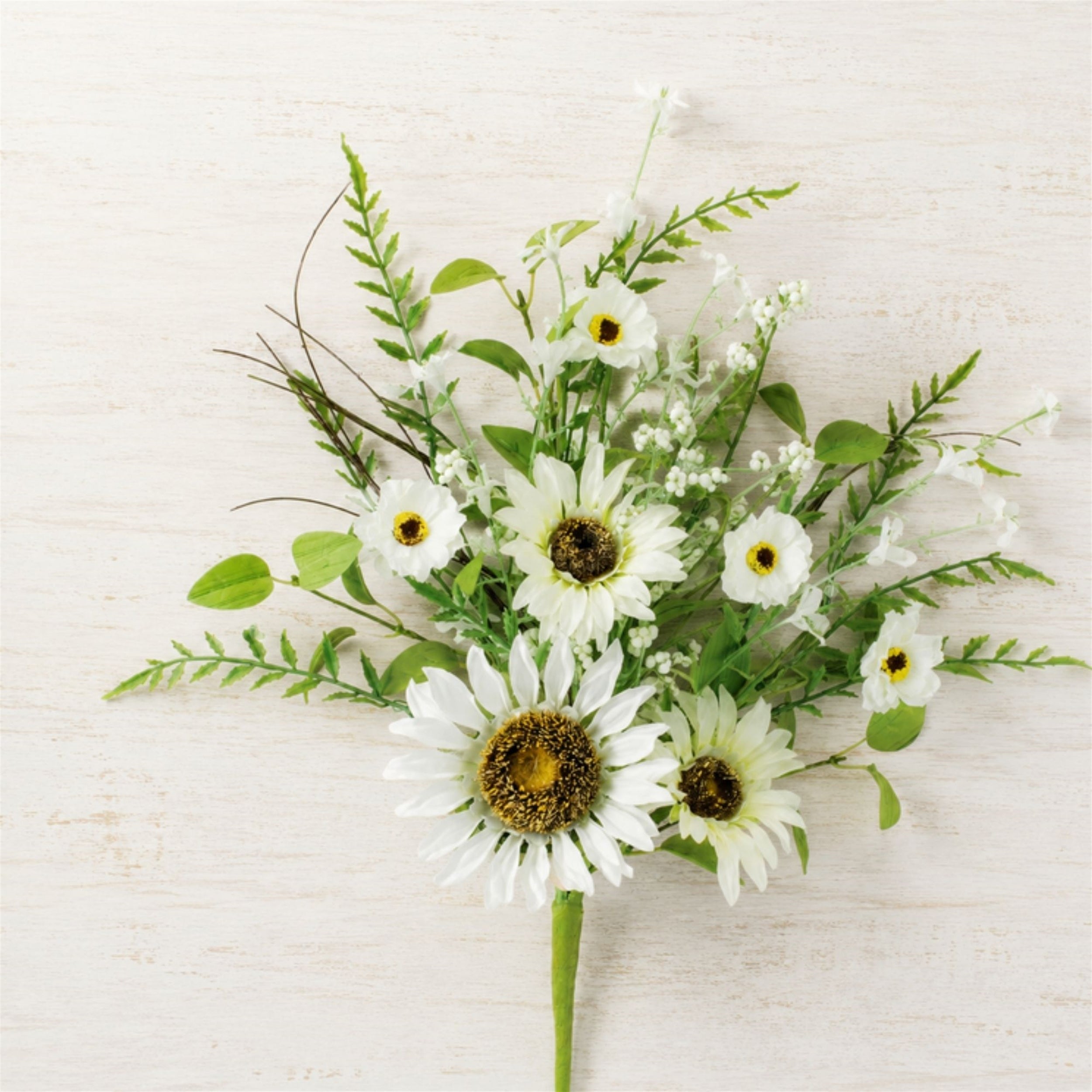 Mixed White Sunflower Bush (Set of 2)
