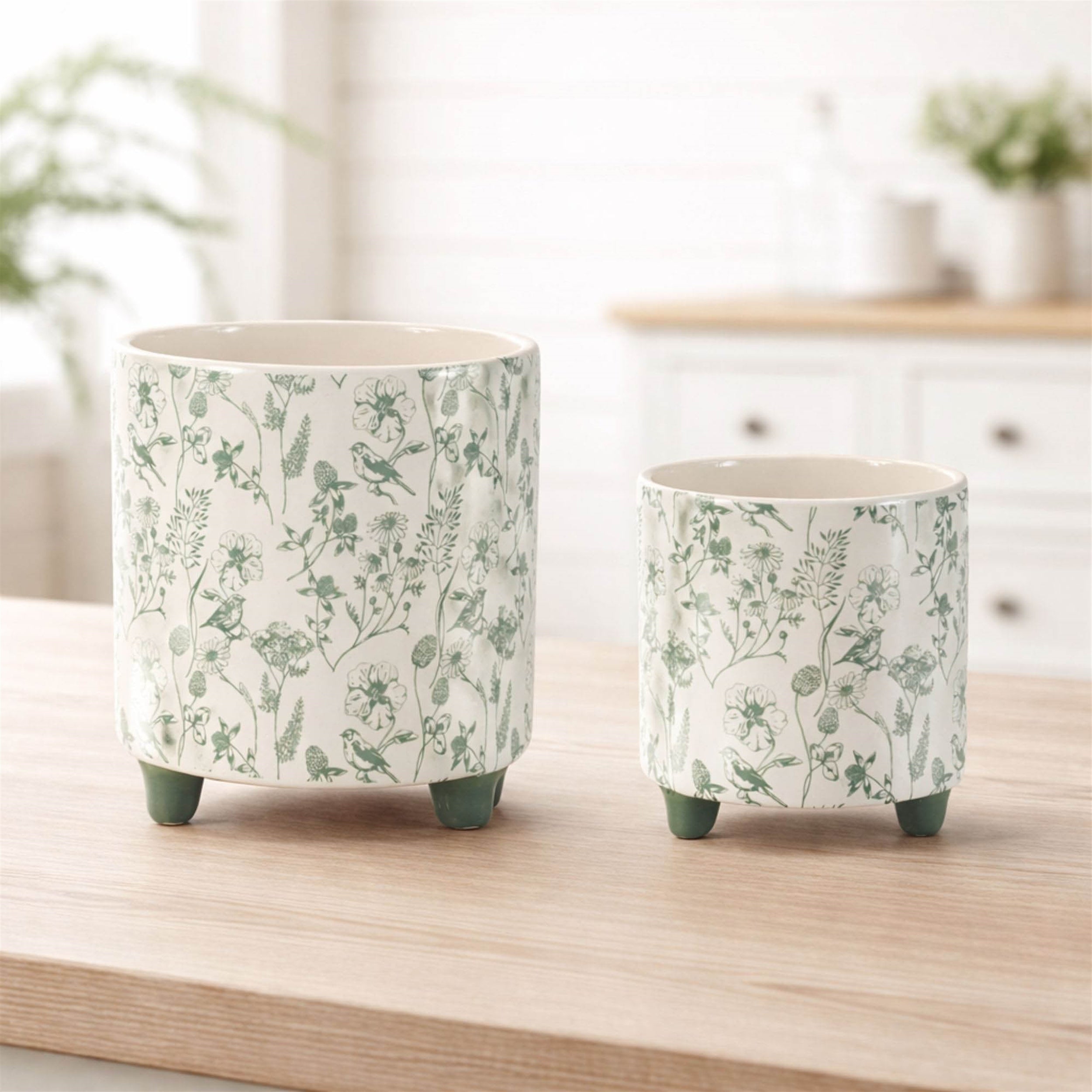 Botanical Bird Print Dolomite Planter (Set of 2)