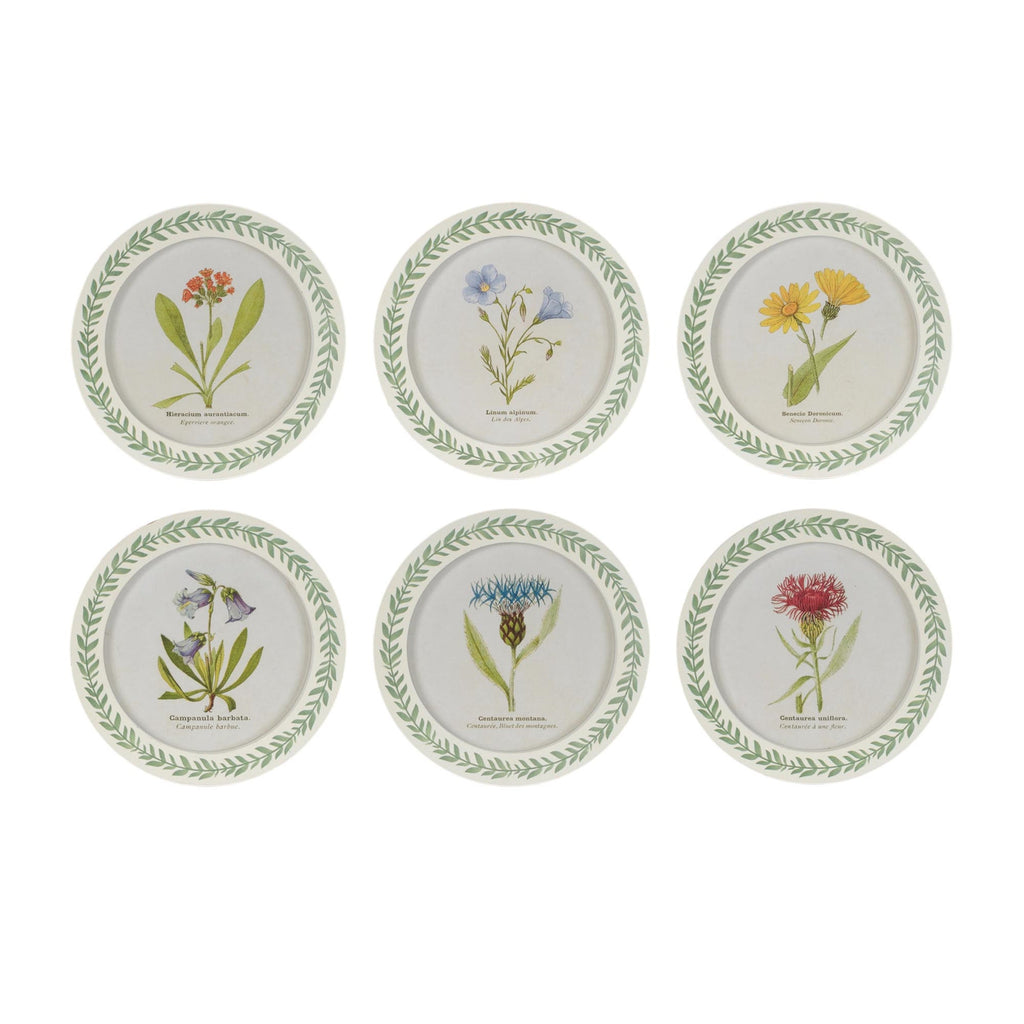 Round Framed Encyclopedia Floral Print (Set of 6)