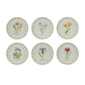 Round Framed Encyclopedia Floral Print (Set of 6)