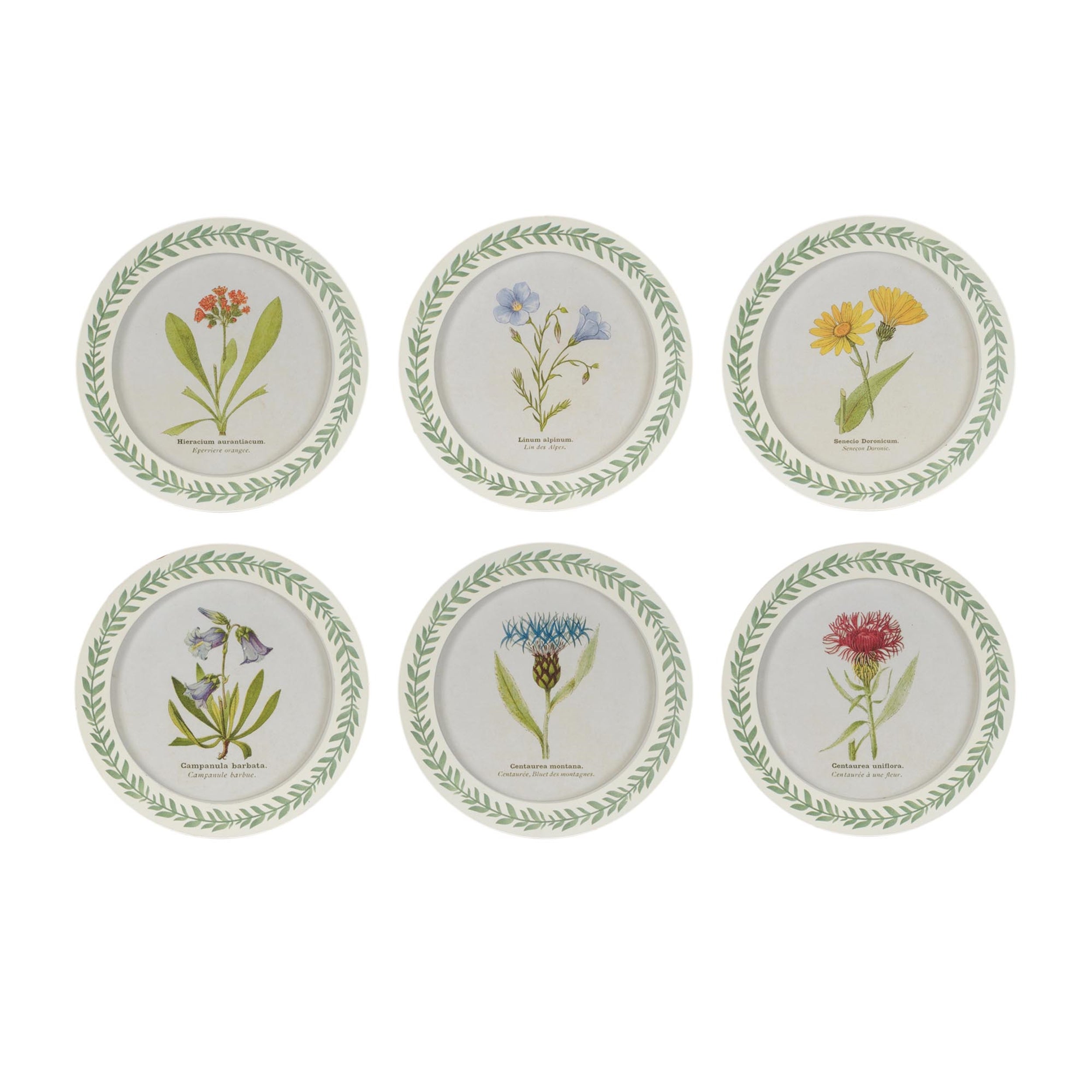Round Framed Encyclopedia Floral Print (Set of 6)