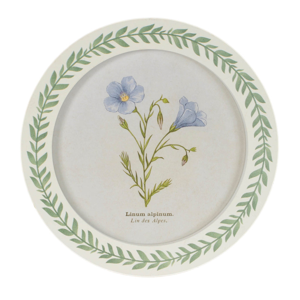 Round Framed Encyclopedia Floral Print (Set of 6)
