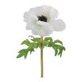Anemone Floral Stem (Set of 6)
