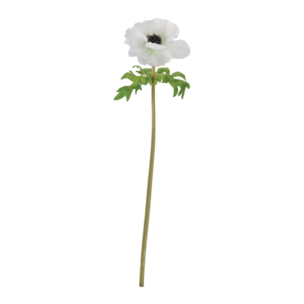 Anemone Floral Stem (Set of 6)
