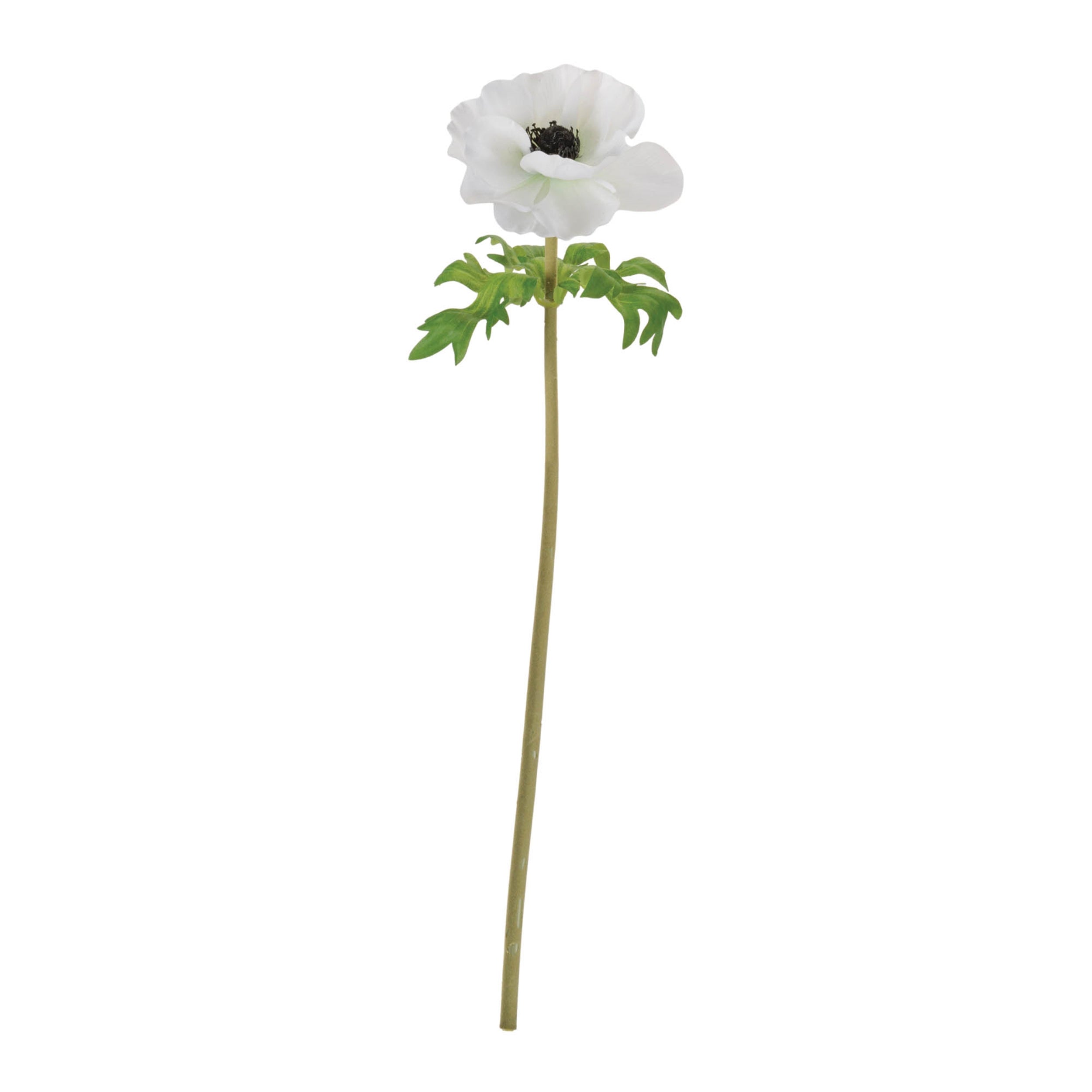 Anemone Floral Stem (Set of 6)