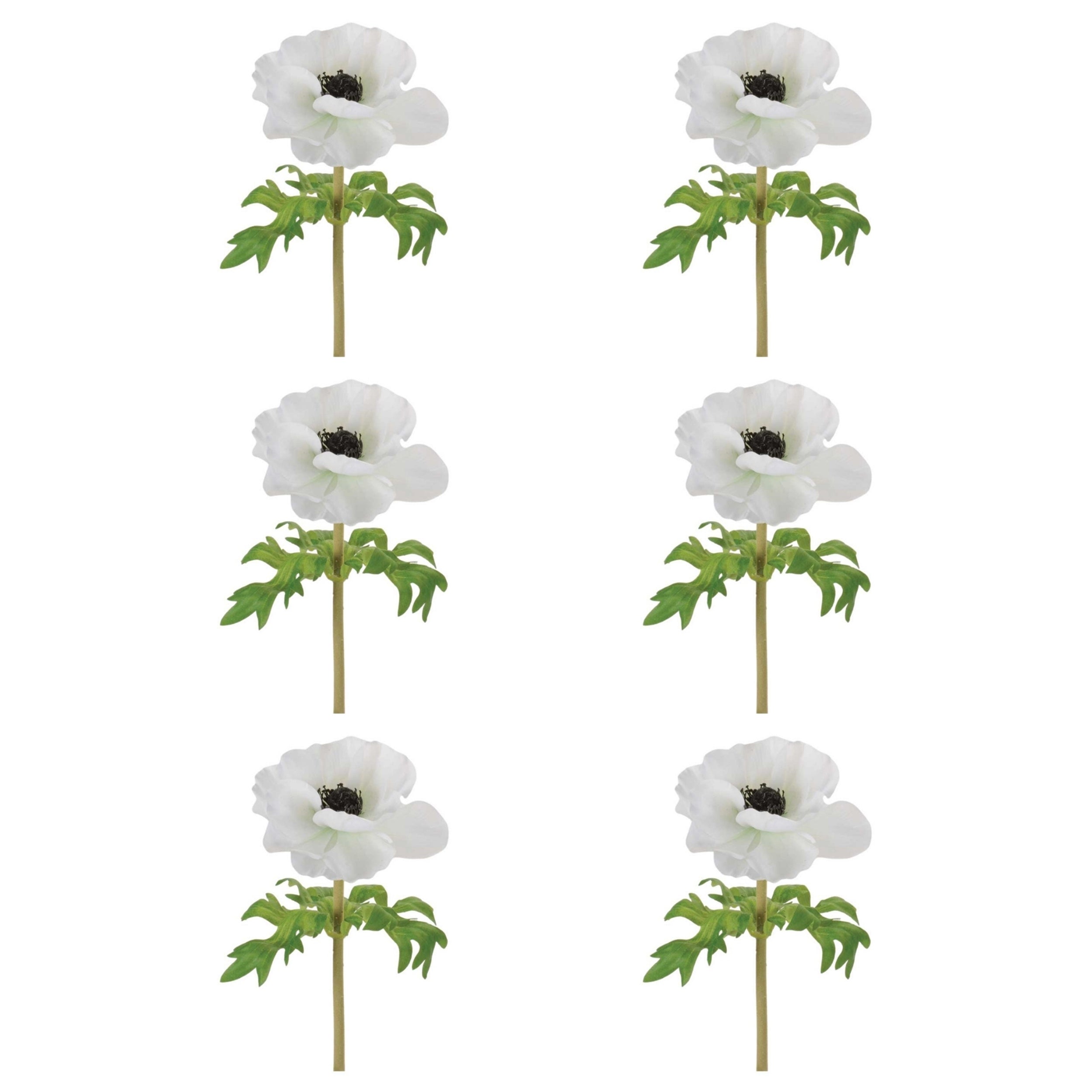 Anemone Floral Stem (Set of 6)