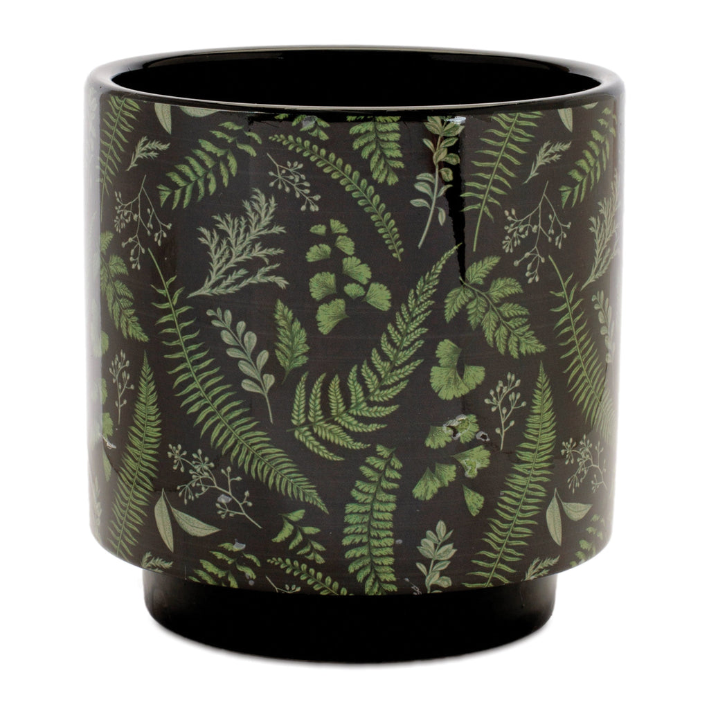 Botanical Fern Print Dolomite Planter (Set of 2)