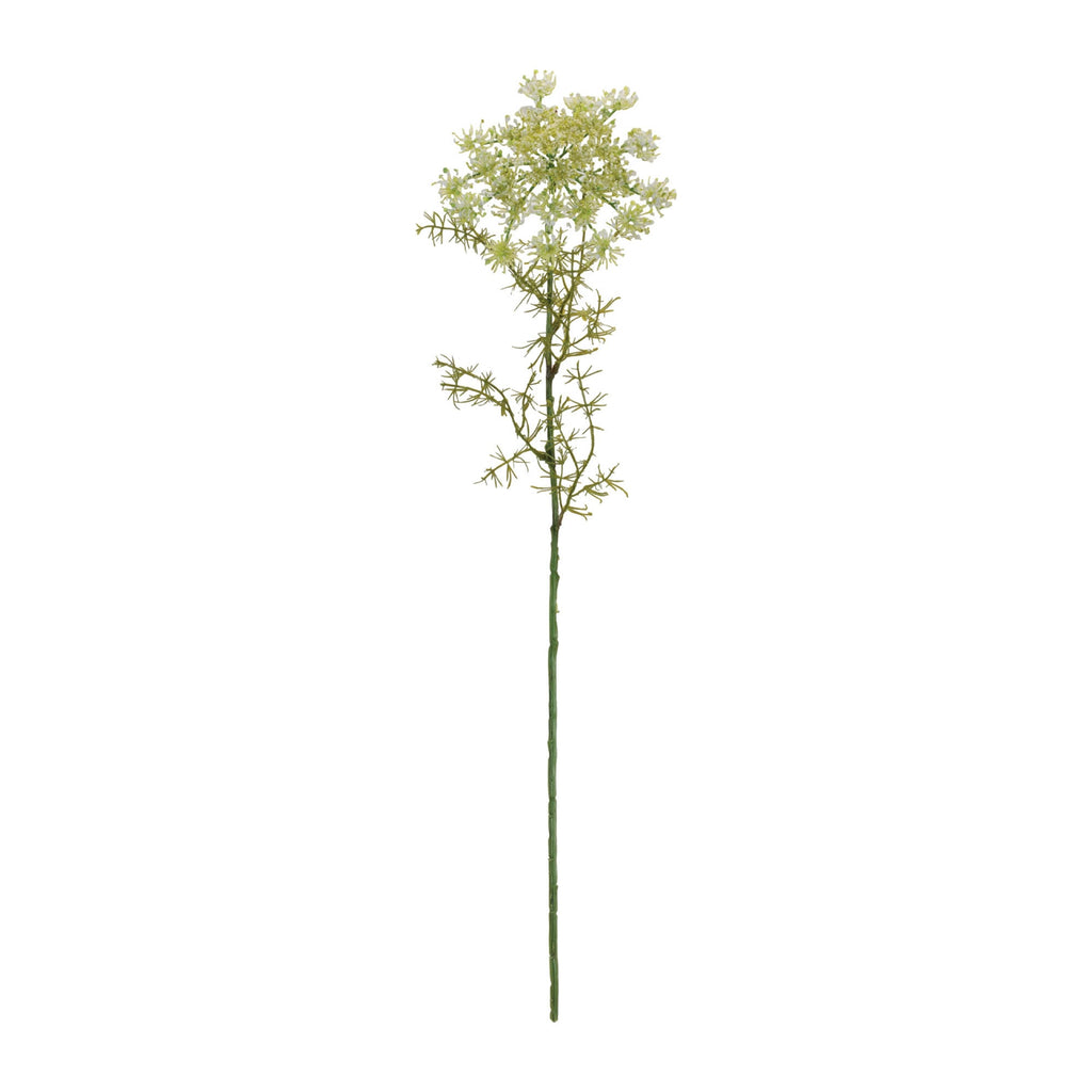 Queen AnneÕs Lace Floral Stem (Set of 4)