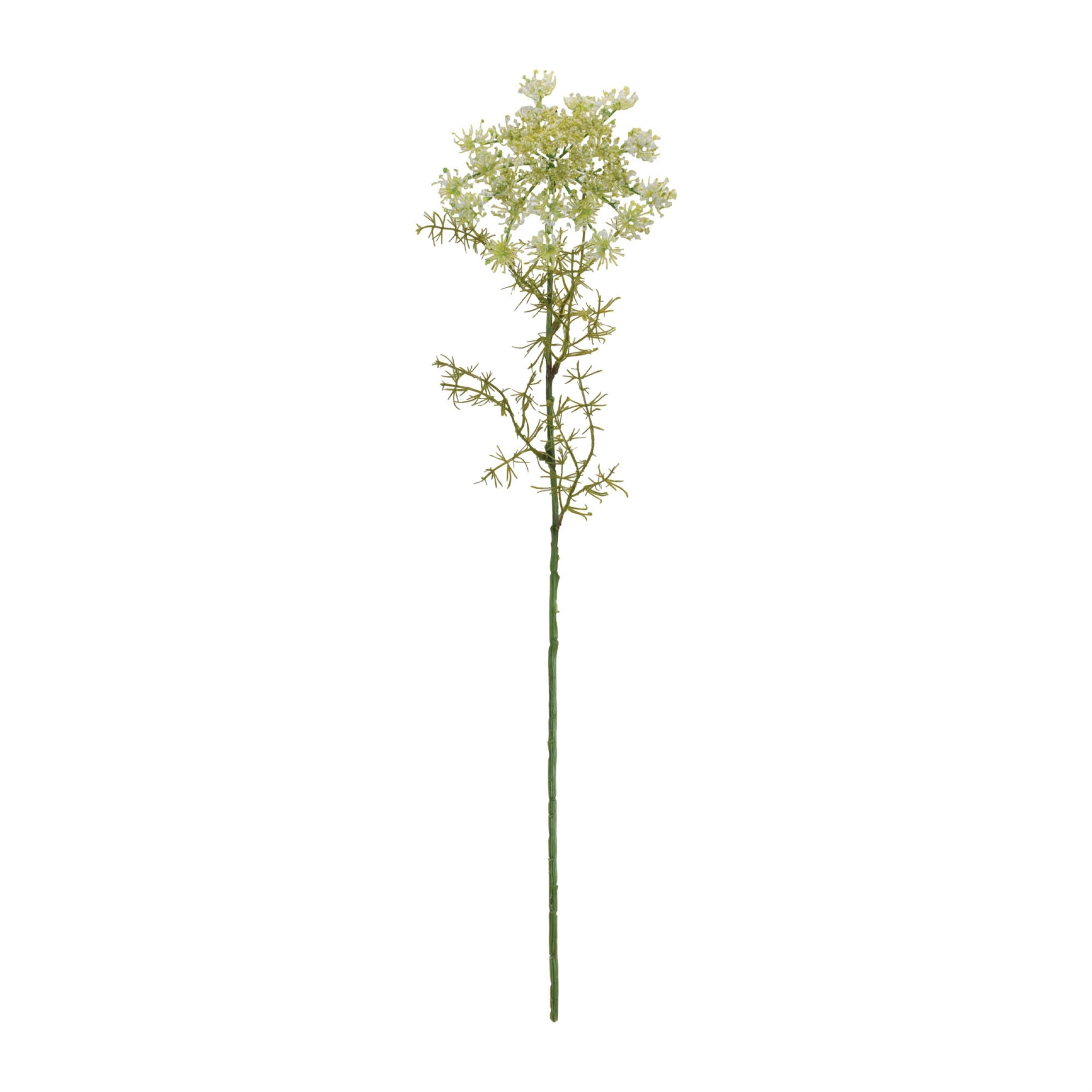 Queen AnneÕs Lace Floral Stem (Set of 4)