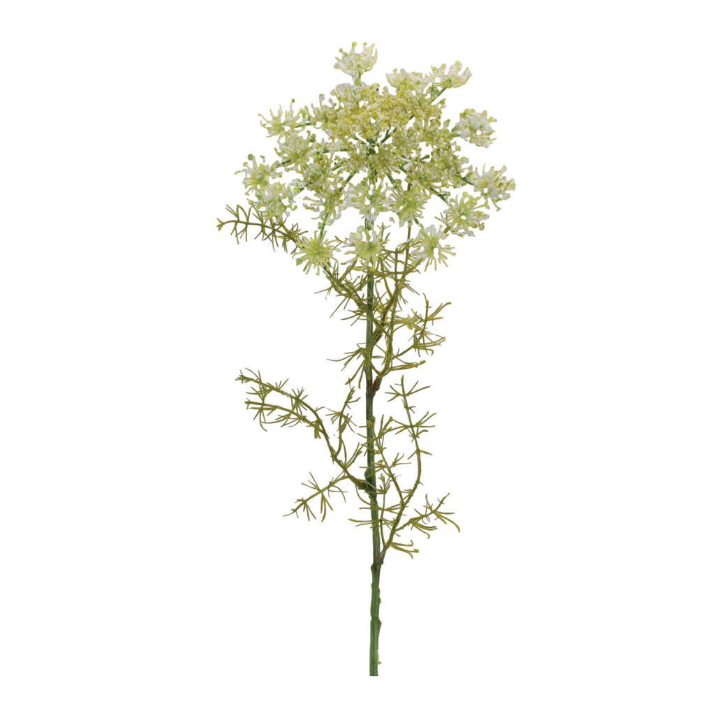 Queen AnneÕs Lace Floral Stem (Set of 4)