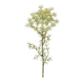 Queen AnneÕs Lace Floral Stem (Set of 4)