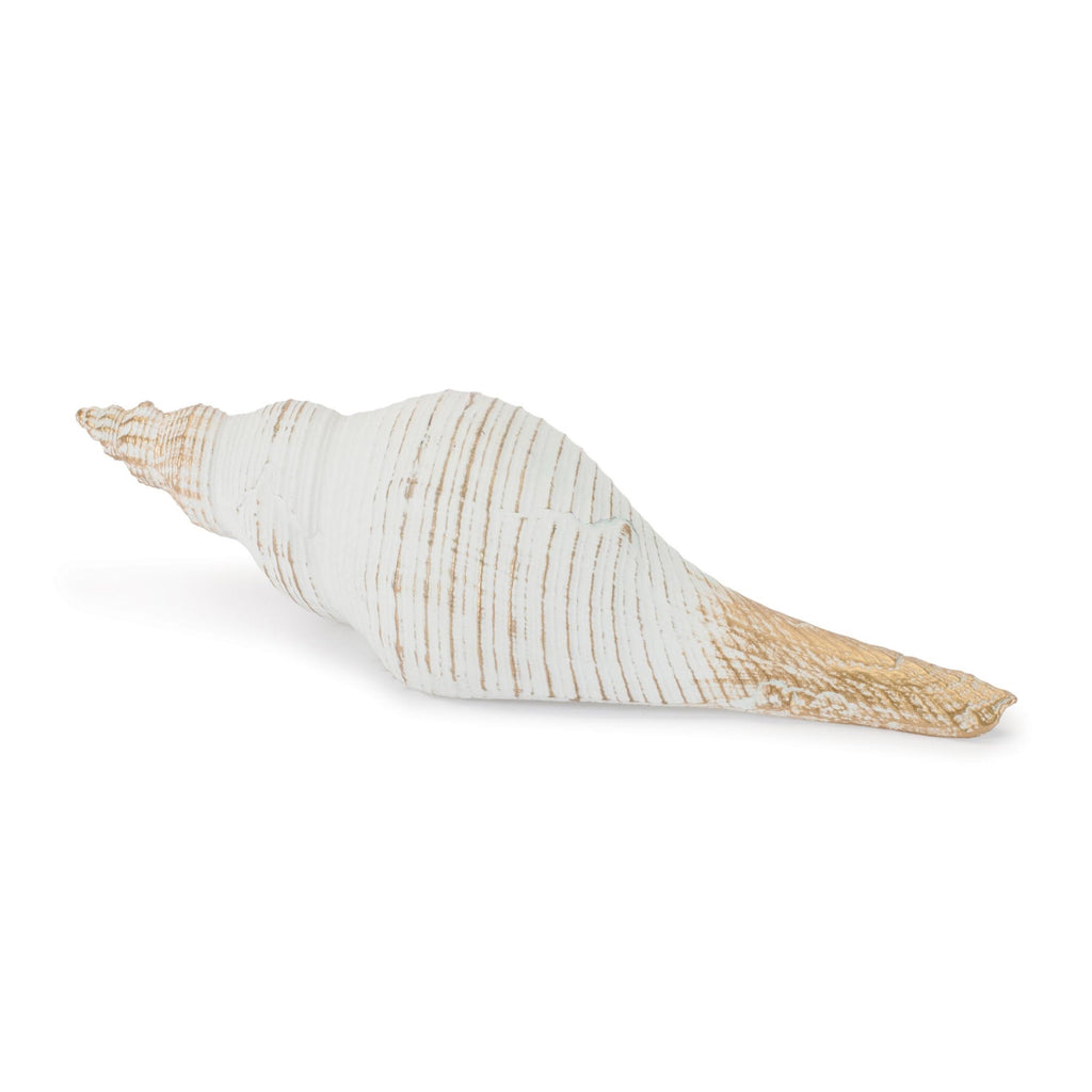Whitewashed Coastal Seashell DŽcor (Set of 2)