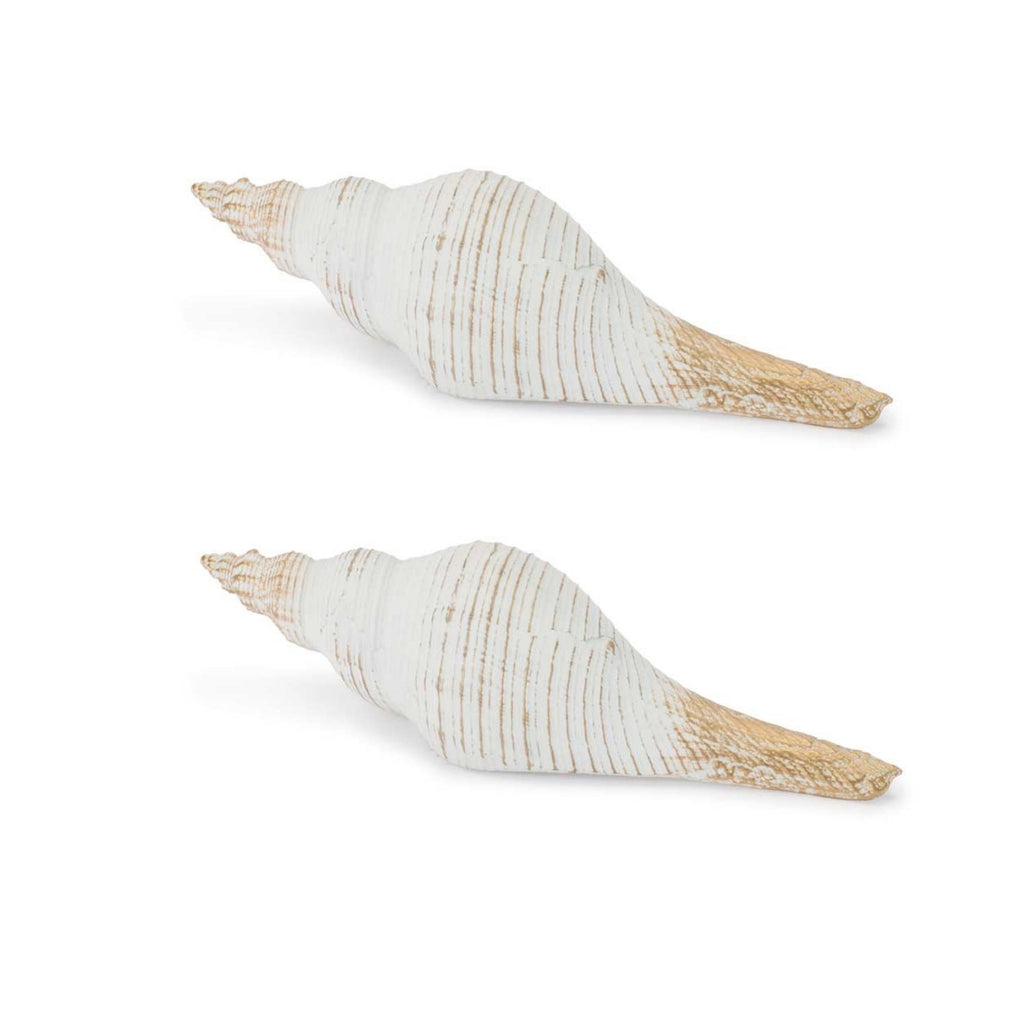 Whitewashed Coastal Seashell DŽcor (Set of 2)