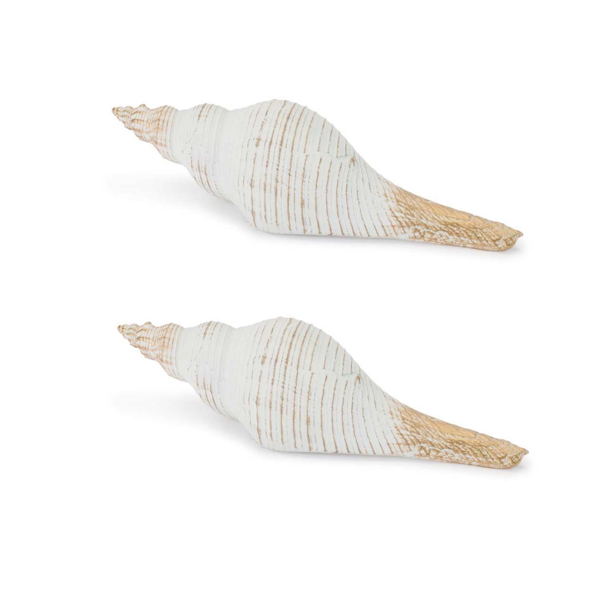 Whitewashed Coastal Seashell DŽcor (Set of 2)