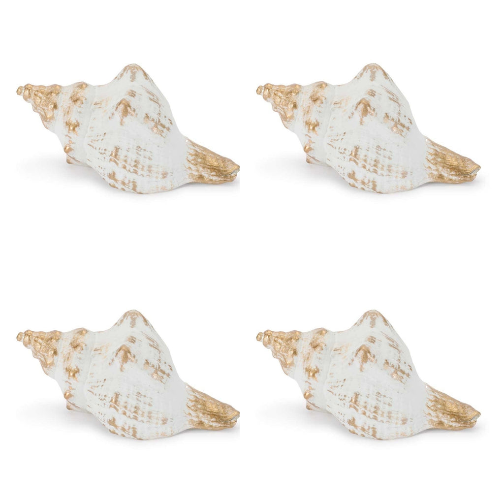 Whitewashed Coastal Seashell DŽcor (Set of 4)
