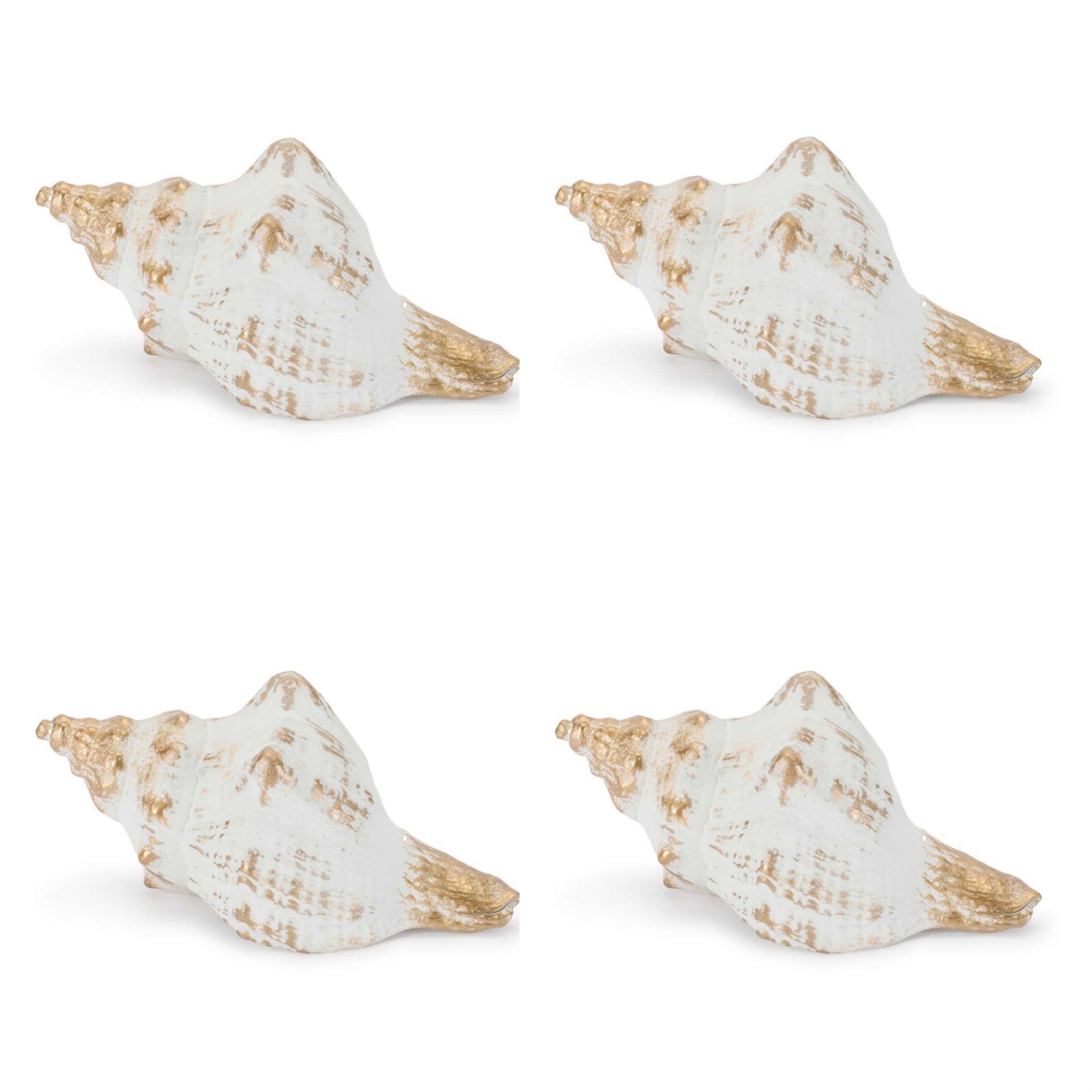 Whitewashed Coastal Seashell DŽcor (Set of 4)