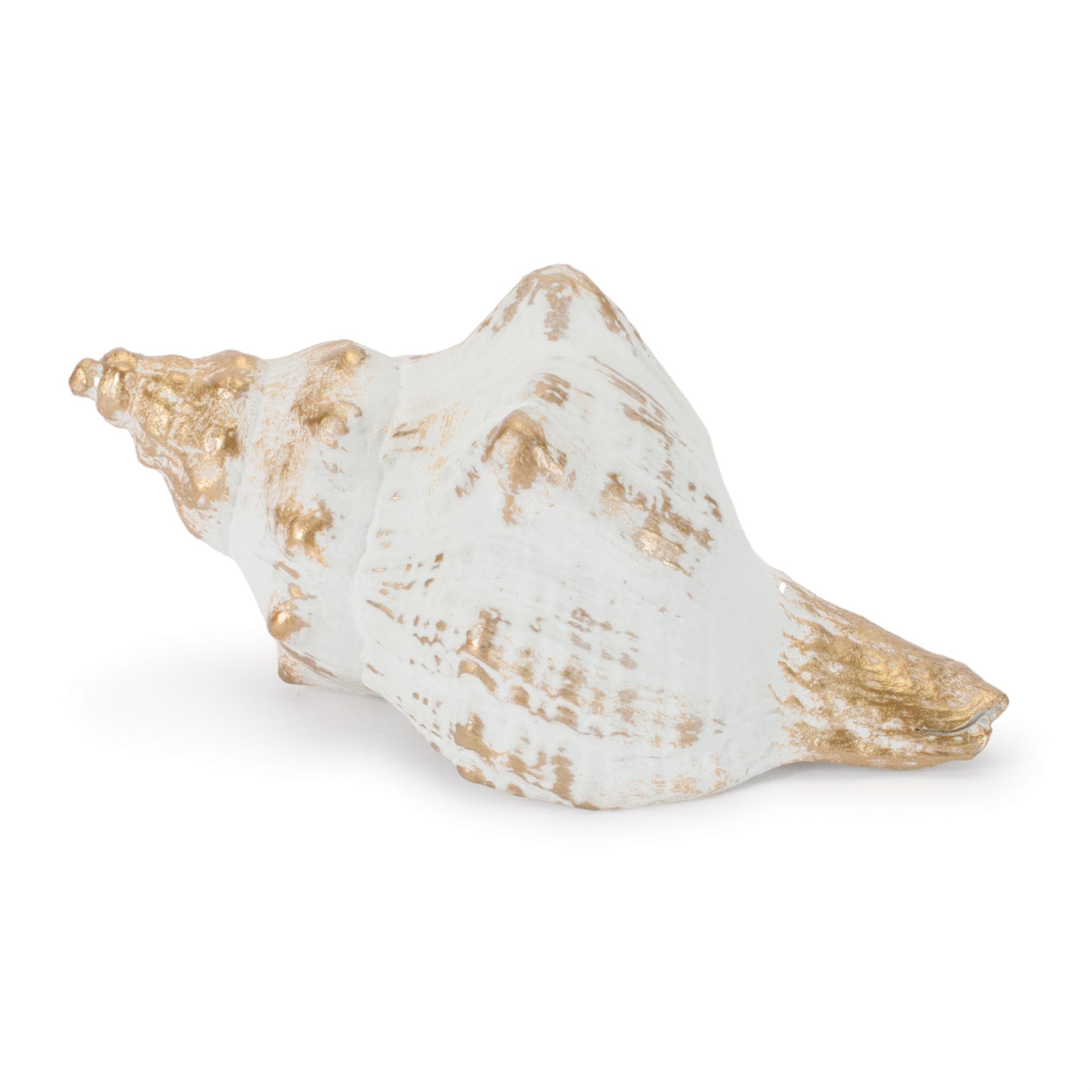 Whitewashed Coastal Seashell DŽcor (Set of 4)