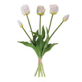Tulip Floral Bundle (Set of 2)