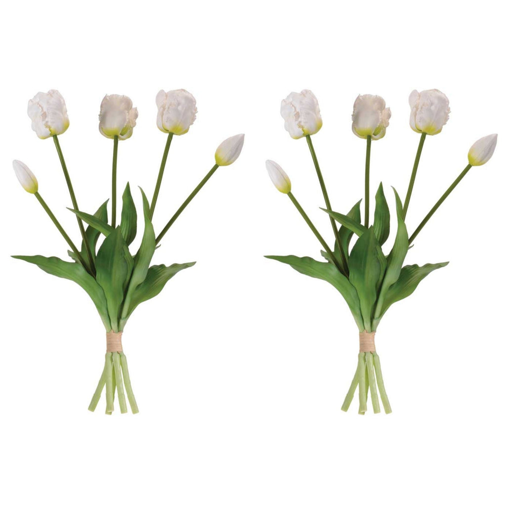 Tulip Floral Bundle (Set of 2)