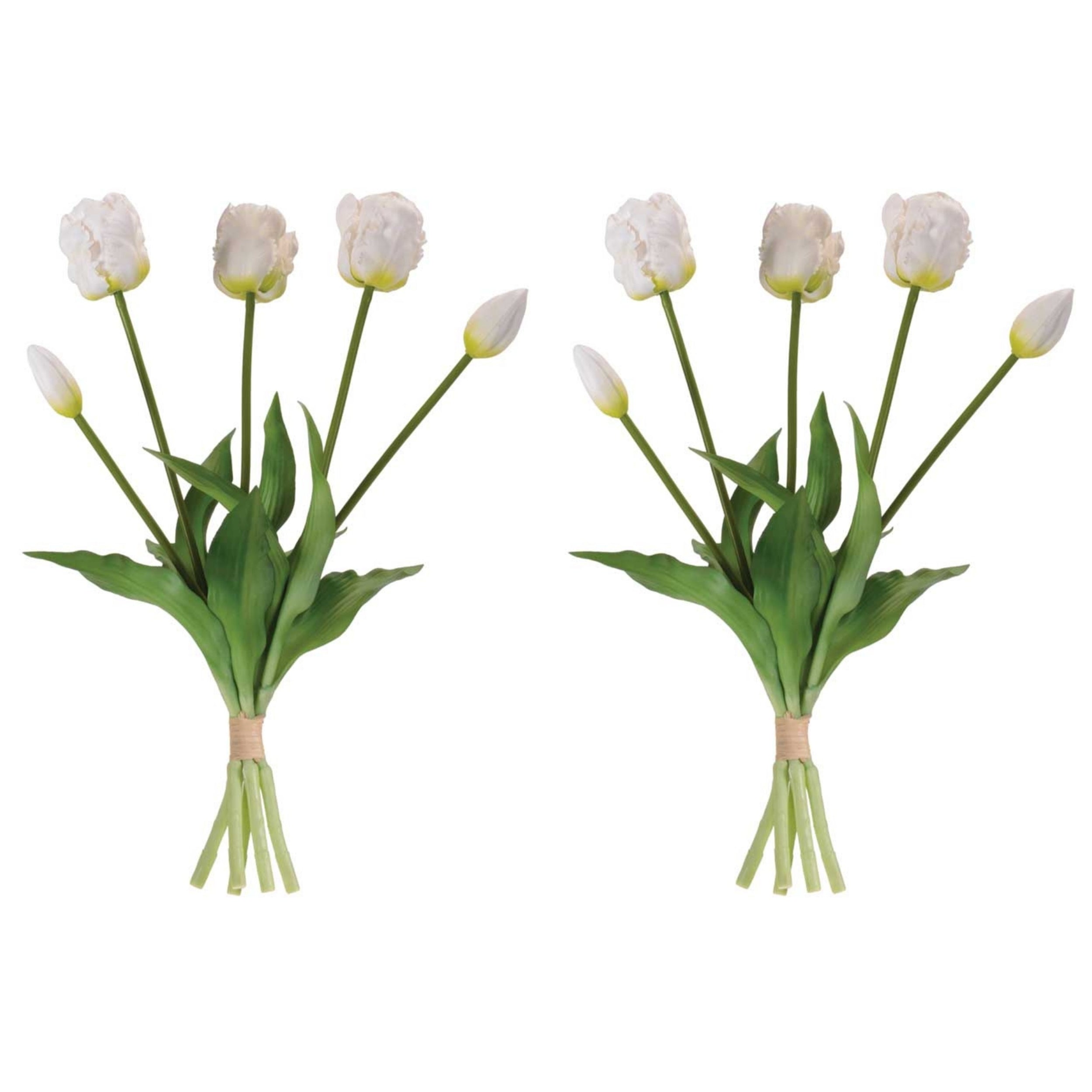 Tulip Floral Bundle (Set of 2)