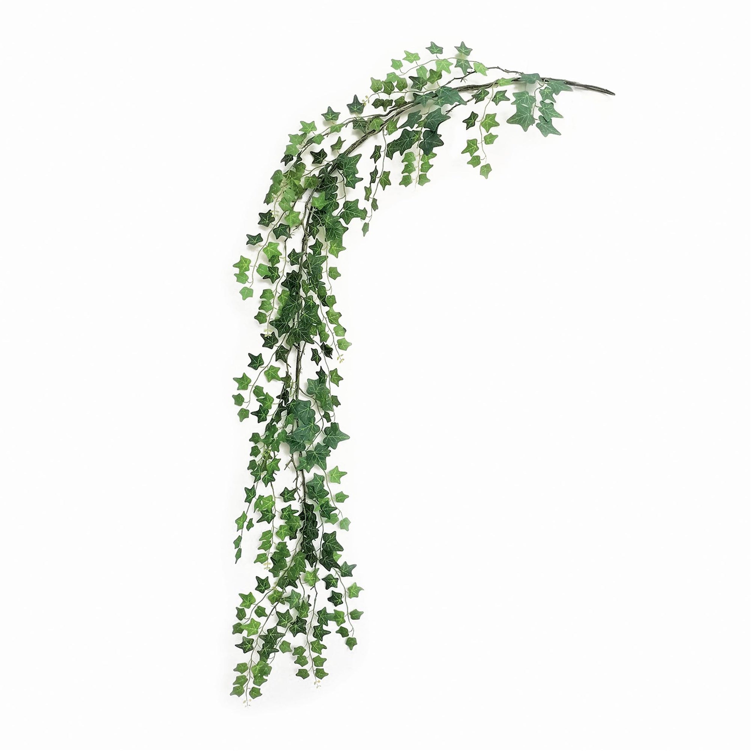 Ivy Foliage Garland 7'L
