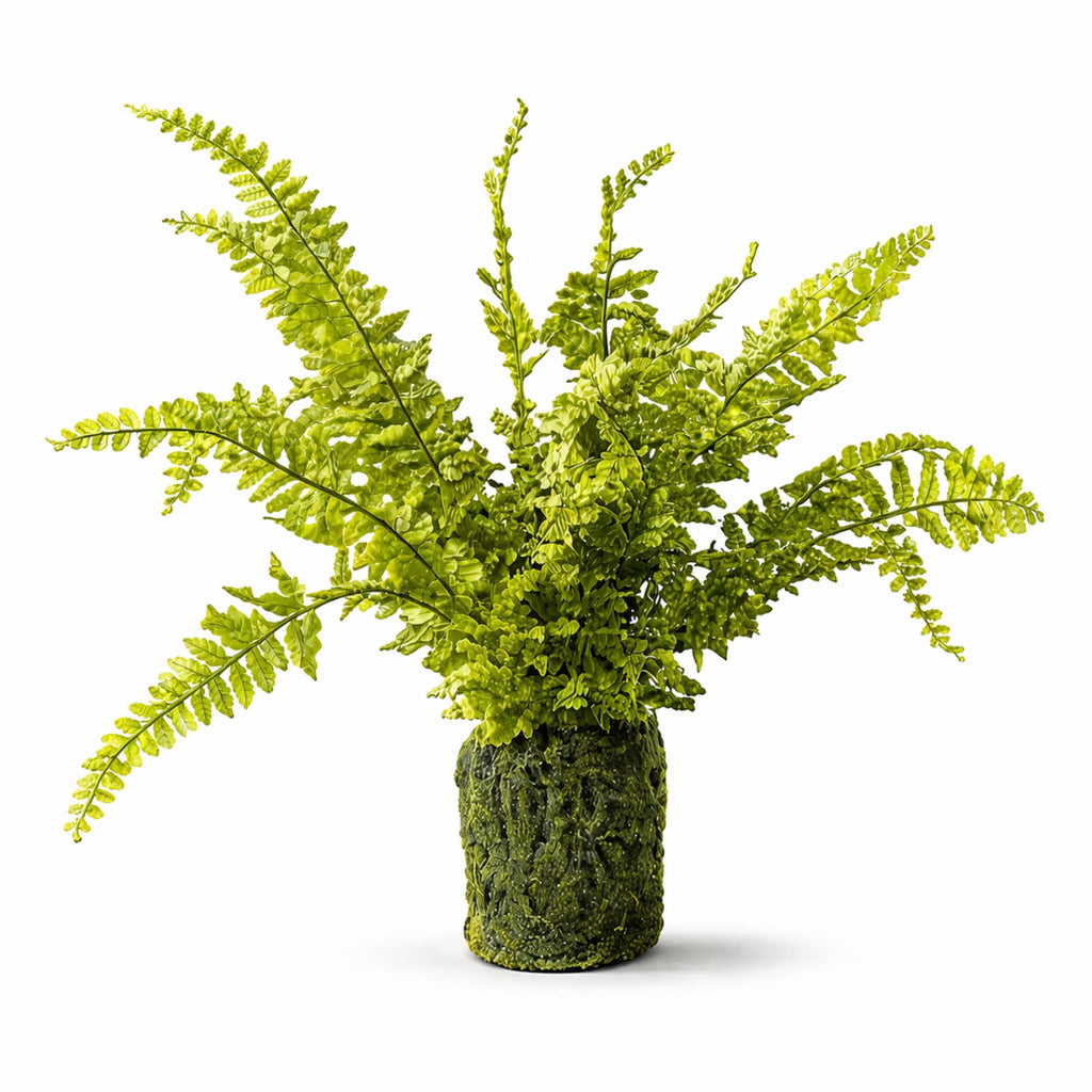 Fern Plant with Mossy Base 21"H