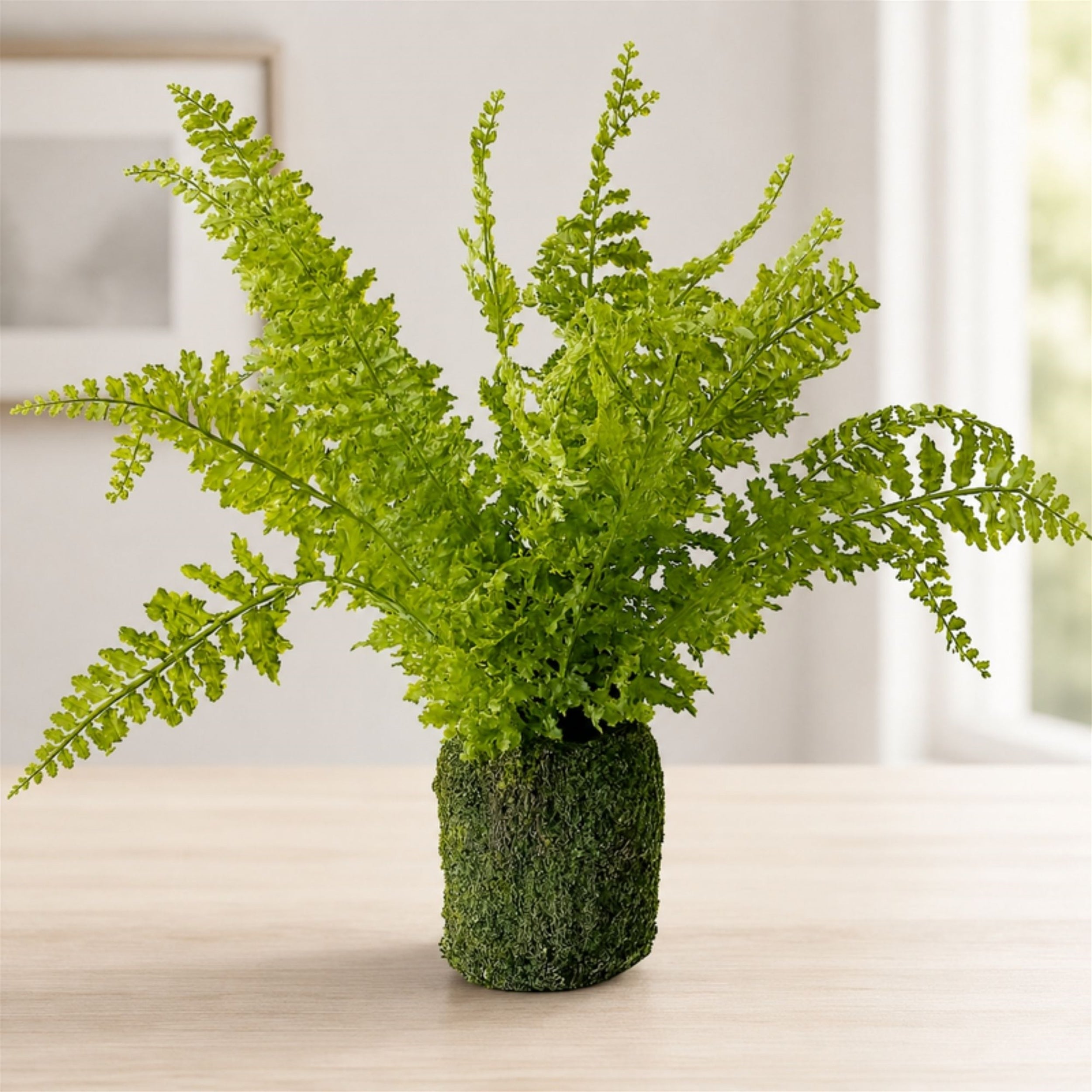 Fern Plant with Mossy Base 21"H